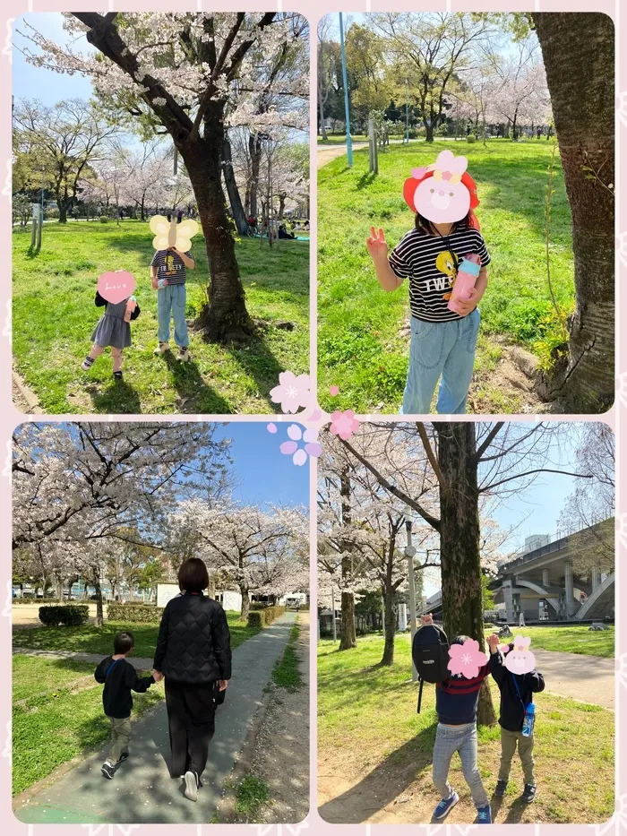  児童発達支援・放課後等デイサービス　スマイルONE（スマイルONEグループ）/桜を見に行きました🌸