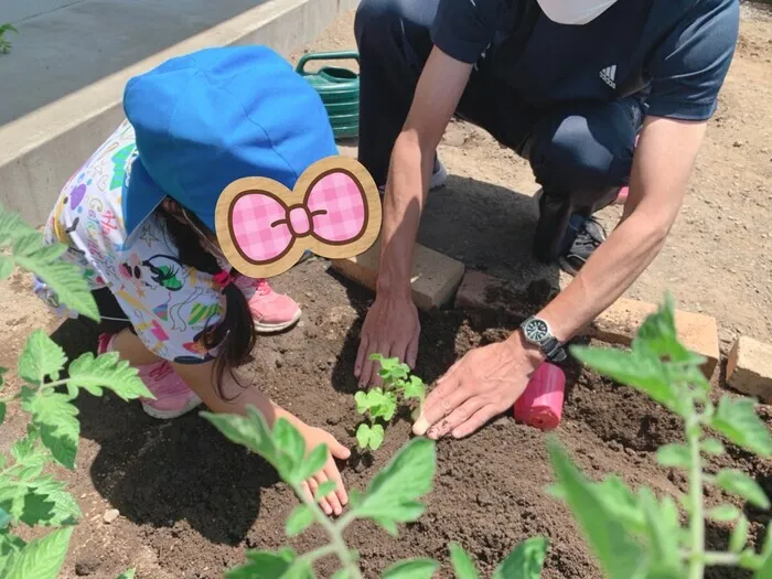 みらいく/アサガオとゴーヤを植えました✨