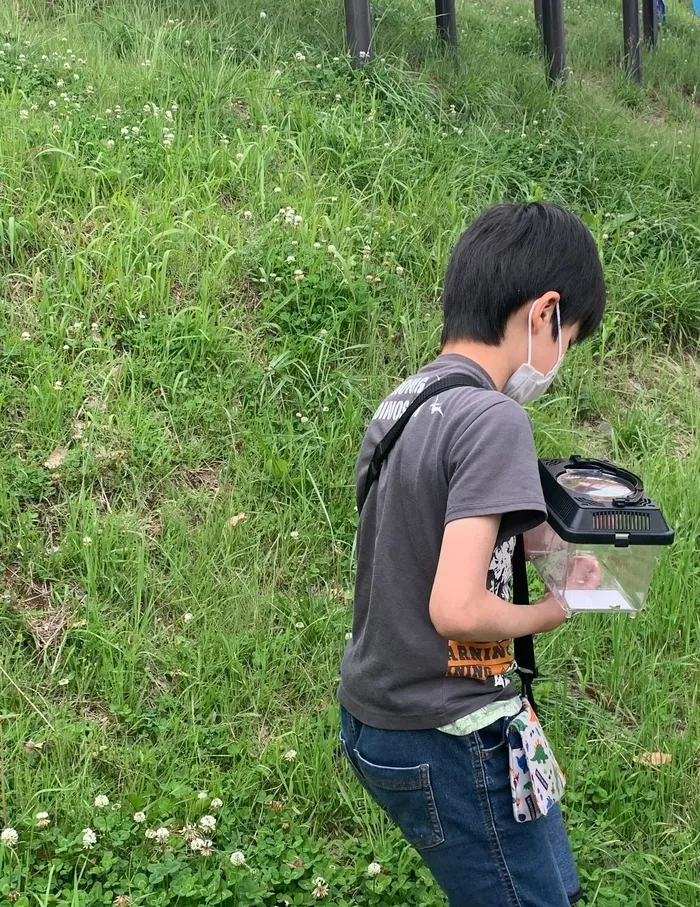 さくだいらキッズらぼ小諸教室/公園で虫さがし