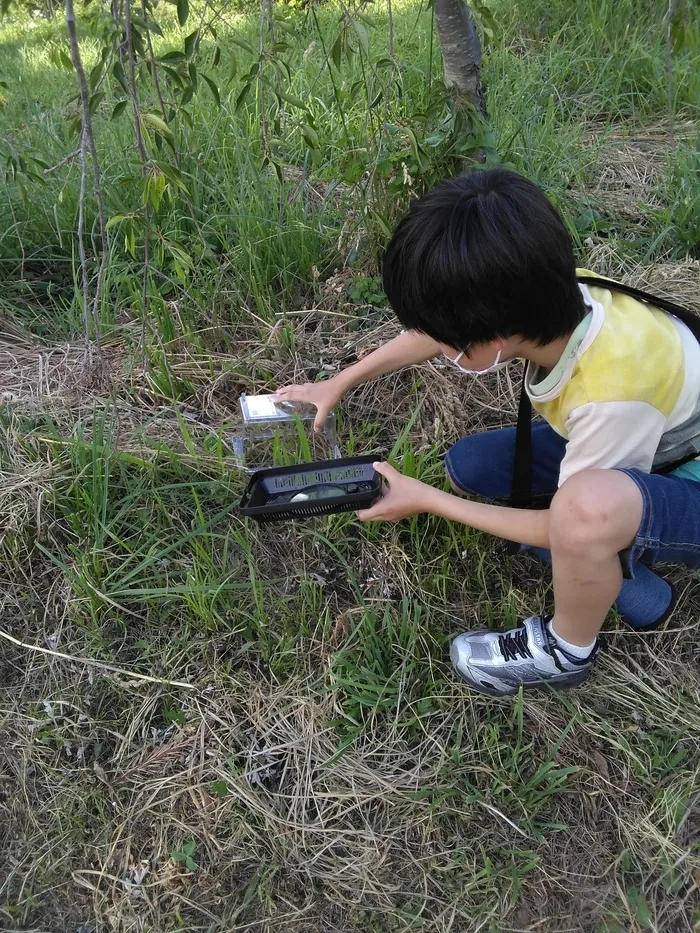 さくだいらキッズらぼ小諸教室/涼しい場所で虫さがし！