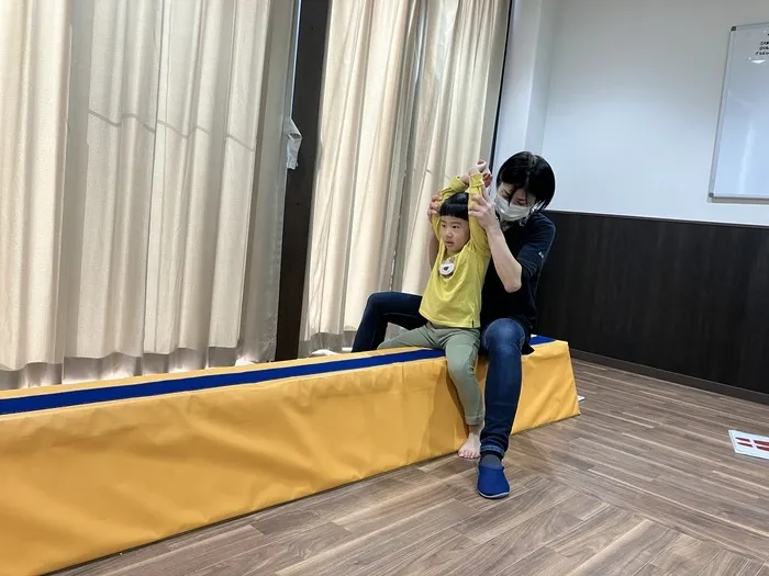 AIAI PLUS 新柏の画像