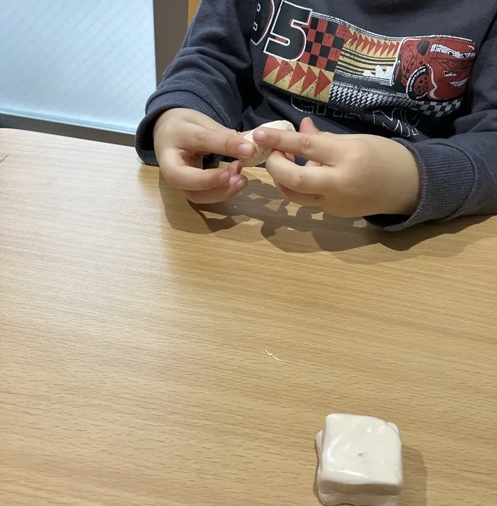 AIAI PLUS 新柏の画像