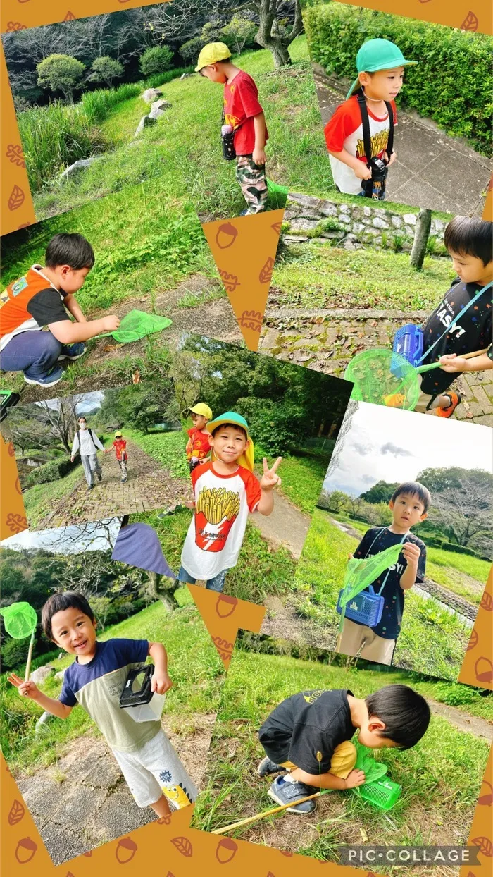 Donキッズひなたぼっこ/2024/09/25 梅林公園で虫捕り(午後)