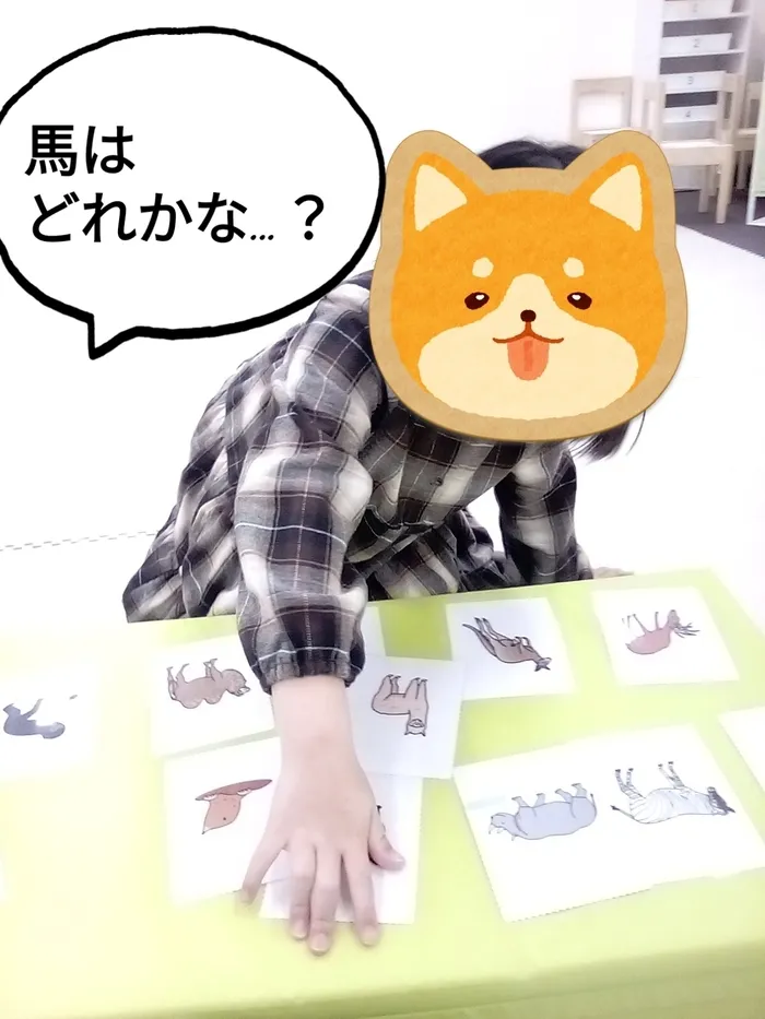 ゆめラボ 観音教室/動物カルタ🐶🐱