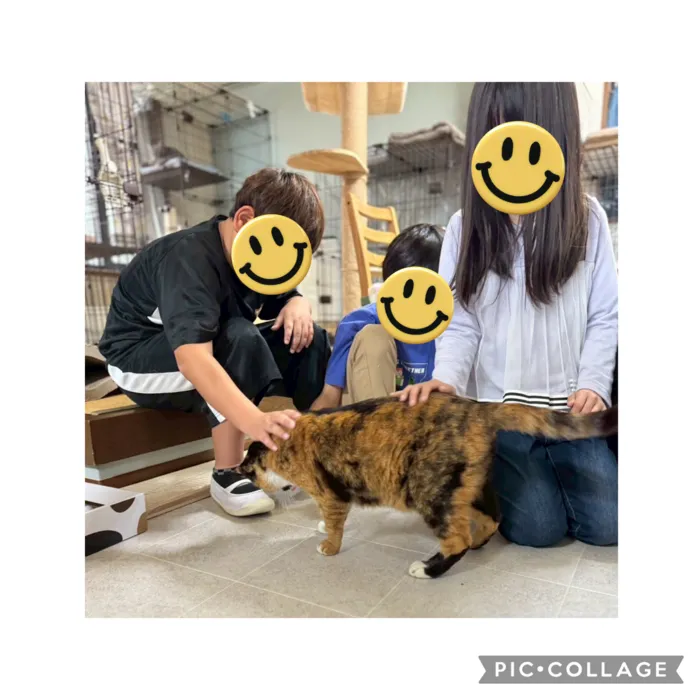 放課後等デイサービス ウィズ・ユー座間/地域交流　保護猫施設カピリナさんにおじゃましました