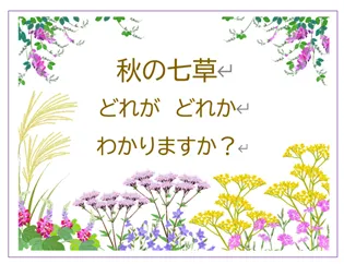 児童はったつ支援室まるソラ谷保/【谷保】秋の七草