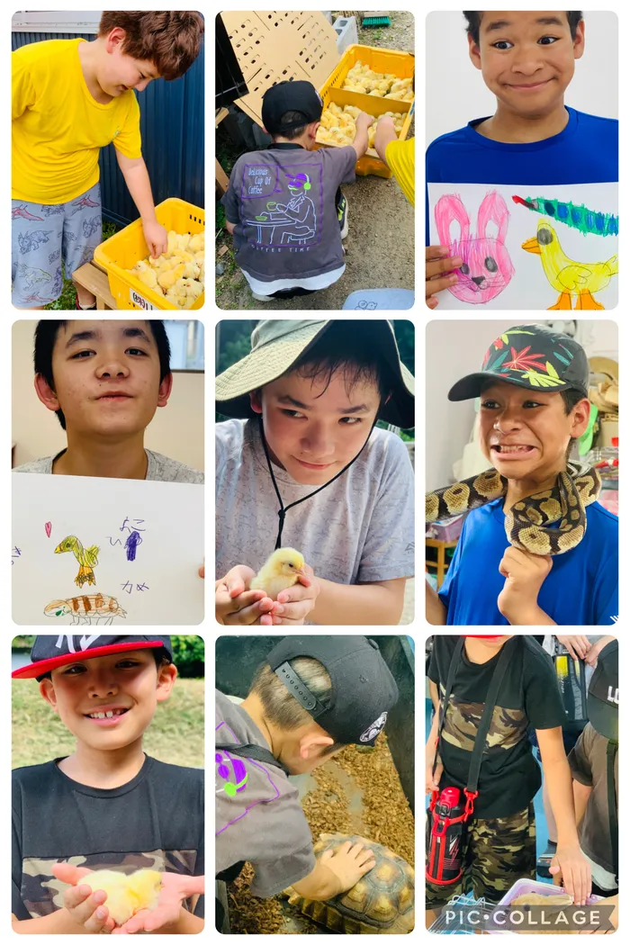 児童発達支援　ぱれっとジュニア前平/動物との触れ合い体験🐣