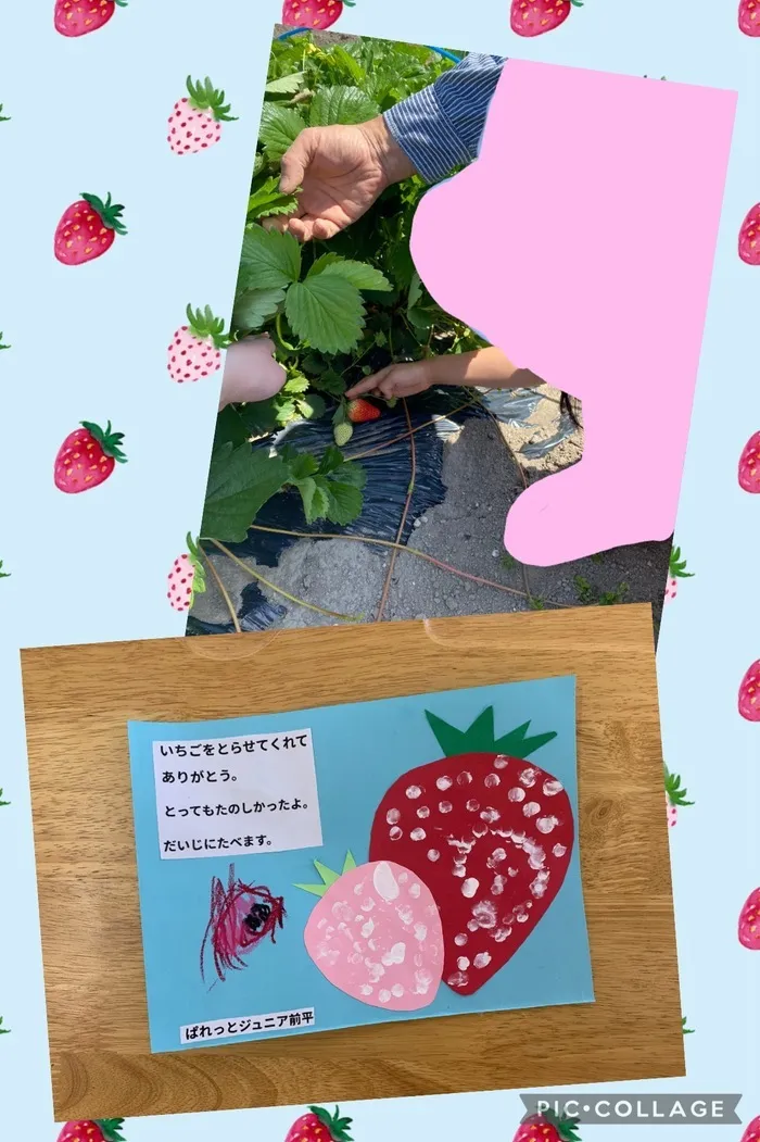 児童発達支援　ぱれっとジュニア前平/いちご収穫体験🍓