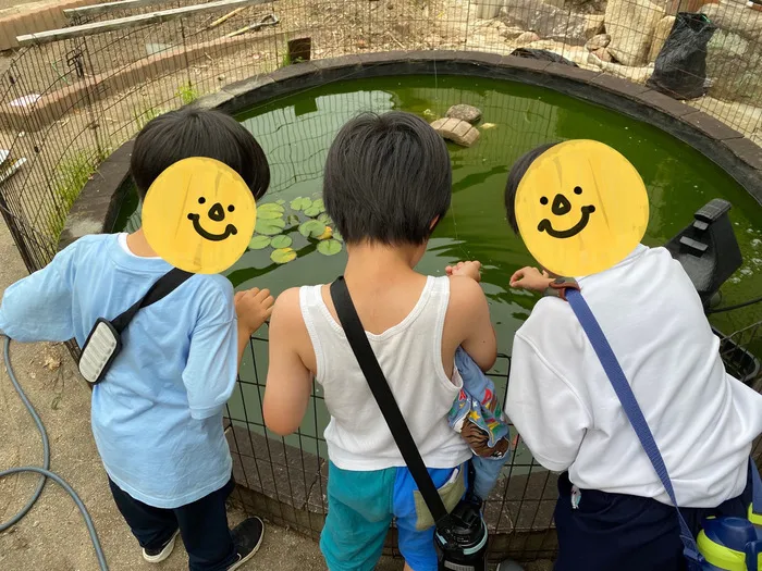 スポーツとまなびのひろば阿倍野校/池のコイに餌やりをしました