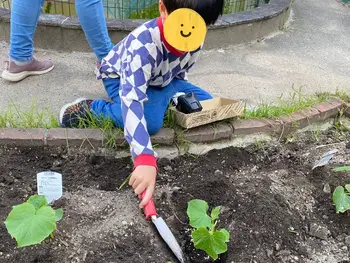 スポーツとまなびのひろば阿倍野校/【菜園活動】ミニトマトとキュウリを植えました