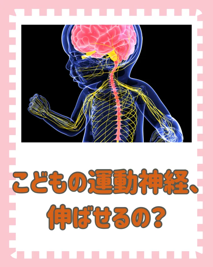 運動療育さとやま（昆陽ルーム）/子どもの運動神経、伸ばせるの？