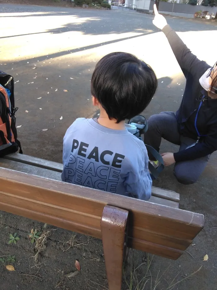 CoKomo（ココモ）/2025年11月17日（月）