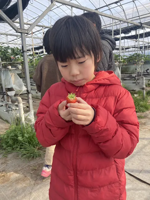 愛YOUわくわく広場　はなみずき/いちご狩りに行きました🍓