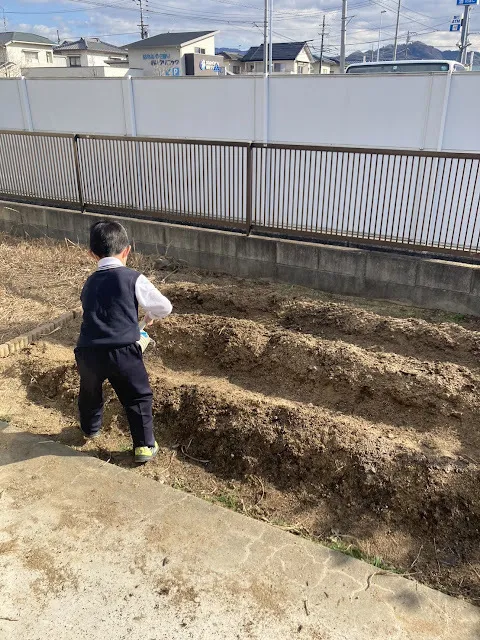 愛YOUわくわく広場　はなみずき/じゃがいもを植えました🥔