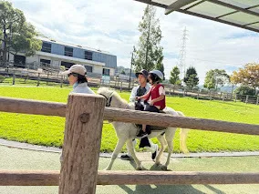 愛YOUわくわく広場 はなみずき/野間馬ハイランドへ行ったよ🏇