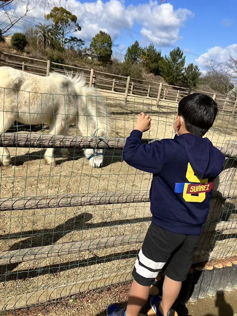 愛YOUわくわく広場　はなみずき/のまうまハイランドに行ったよ🐎