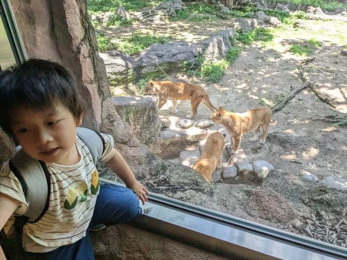 愛YOUわくわく広場　はなみずき/動物園に行ったよ🐵