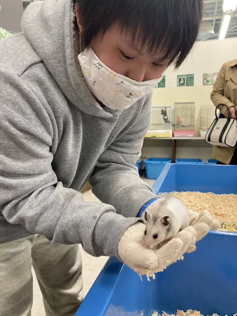 愛YOUわくわく広場　はなみずき/ふれあい学校にお出かけしたよ🐹