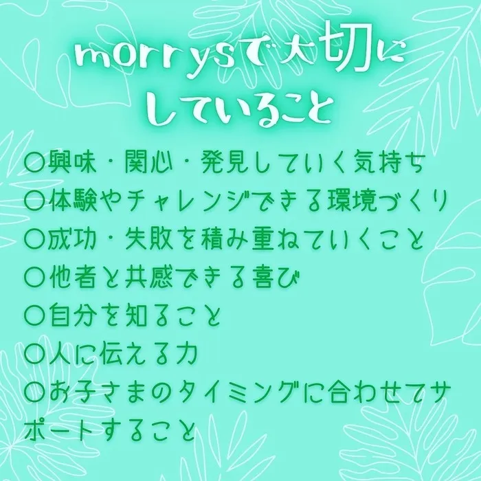 morrys/プログラム内容