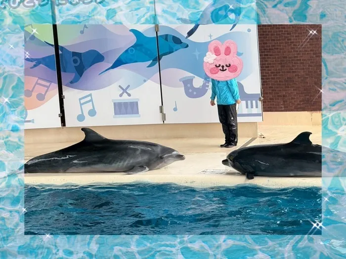 てらぴぁぽけっと　八幡東教室/🐬下関海響館🐬