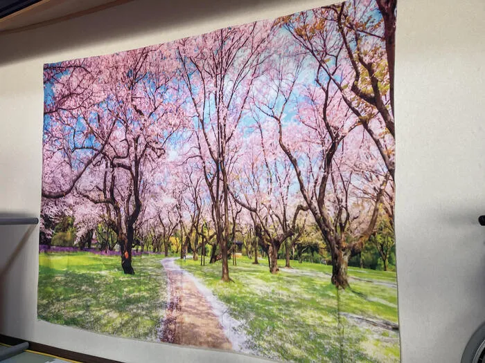 なないろ加古川/春よ来い～🌸