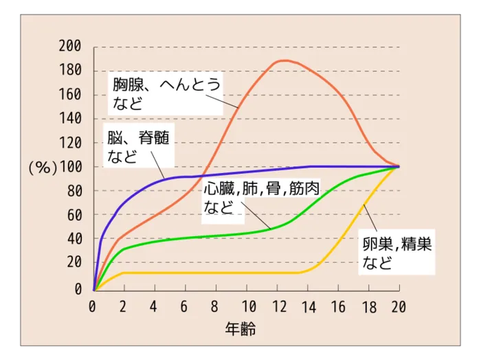 こどもリハかわせみ/幼児期の運動　発達性協調運動障害