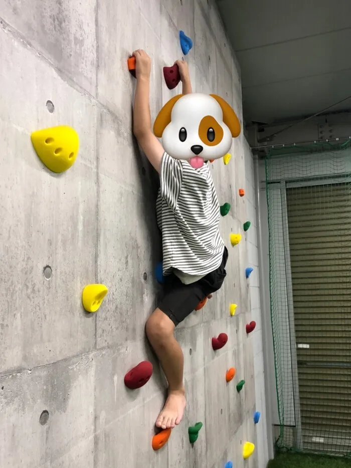 放課後等デイサービスぽかぽか西島/ロッククライミングに挑戦🧗‍♀️🧗‍♂️