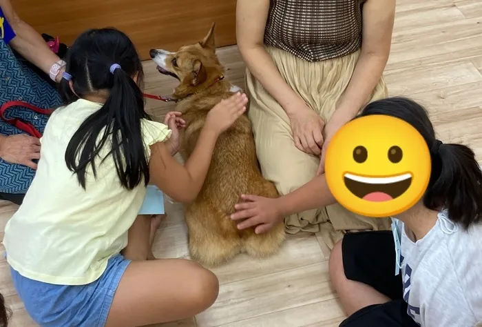 ぶーけ中川教室/犬とのふれあい