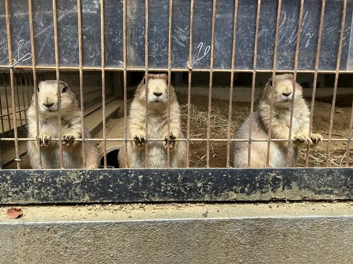 縁キッズセンター南/夢見ヶ崎動物公園