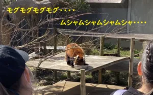 Doorly(ドアリー)/３月の活動紹介♪　【市川動植物園】