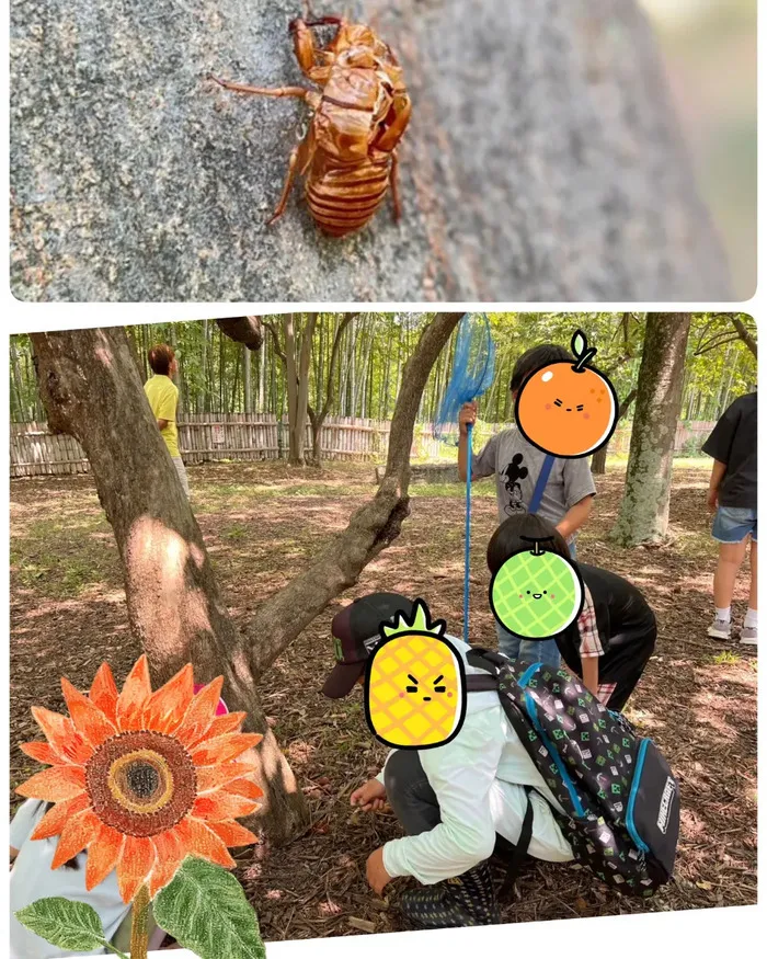 ひまわりはぁと枚方/山田池公園 虫取り