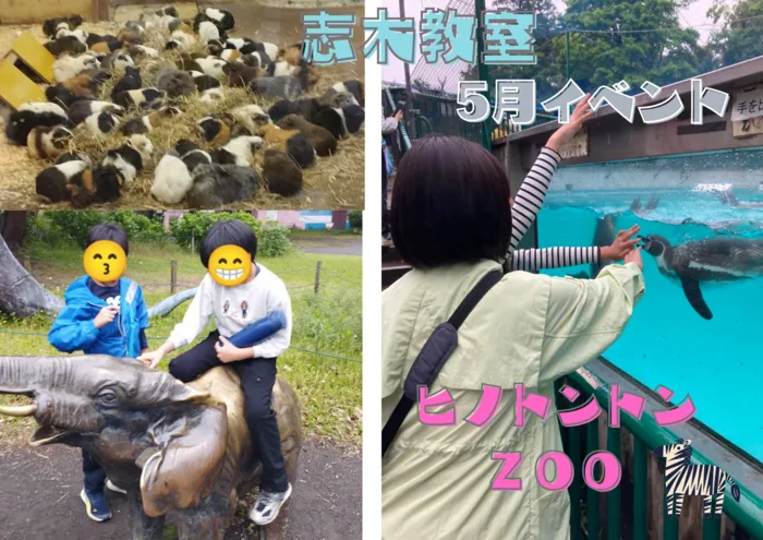 放課後等デイサービスぱすてる志木教室/癒しのひととき🐧ヒノトントンZoo