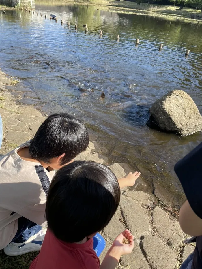  ドットジュニア 長沼原 第１教室（児童発達支援・放課後等デイサービス）/【長沼原第2教室】鯉に餌あげ🐟