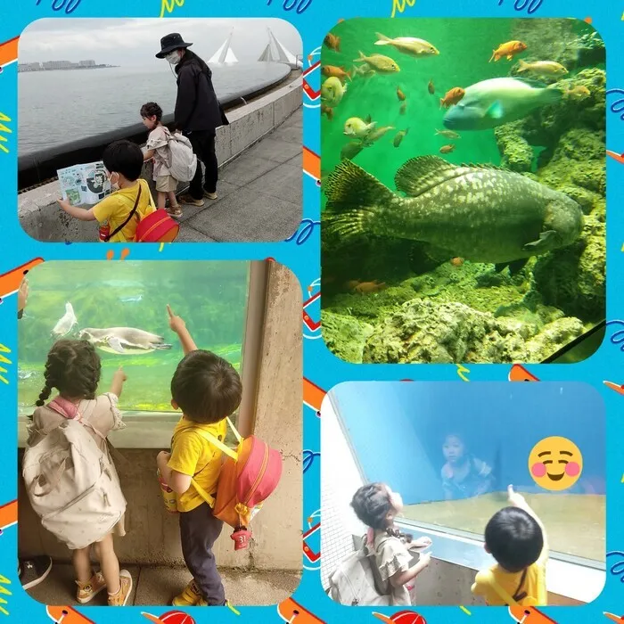 ドットジュニア 浜野 第１教室/東京都葛西臨海水族館に行ってきたよ🐟🐠🦀