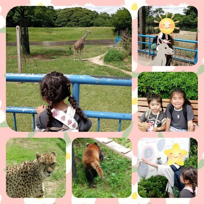 ドットジュニア 浜野 第１教室/千葉市動物公園に行ってきました！