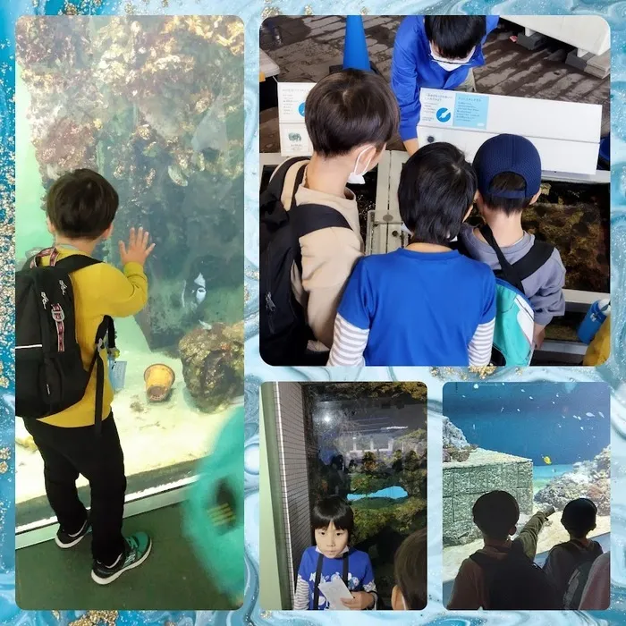 ドットジュニア 浜野 第１教室/葛西臨海水族園に行ってきたよ🐠