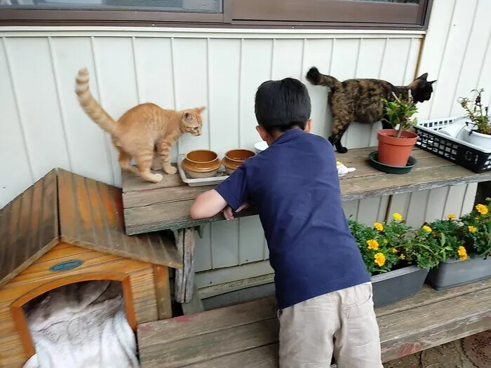 ドットジュニア 浜野 第１教室/ねこちゃん🐈🌻