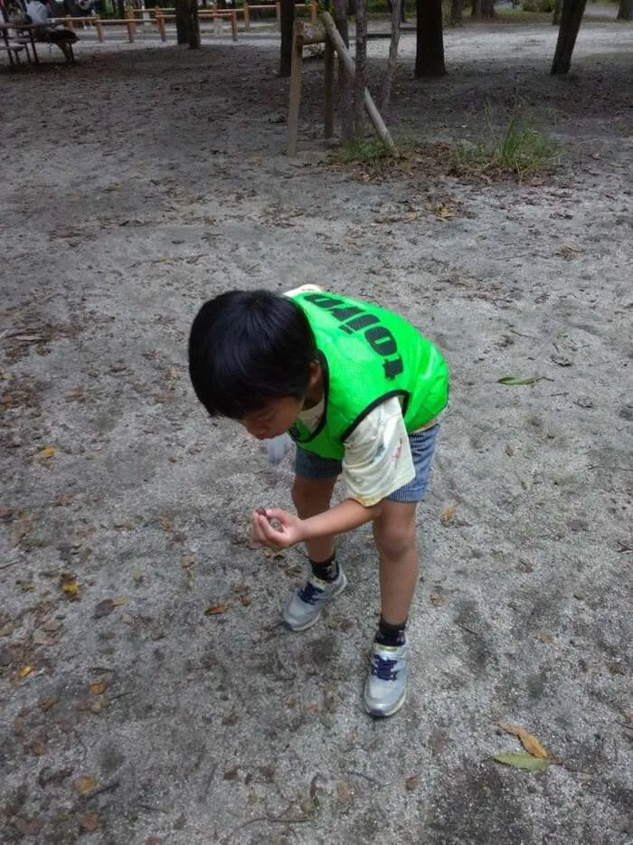 放課後デイサービスtoiro　小田栄/木場公園へどんぐりひろいに行こう