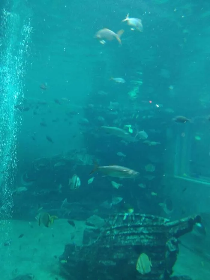 放課後デイサービスtoiro　小田原/箱根園水族館☆