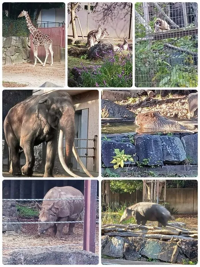 放課後デイサービスtoiro　茅ヶ崎/＊金沢動物園＊