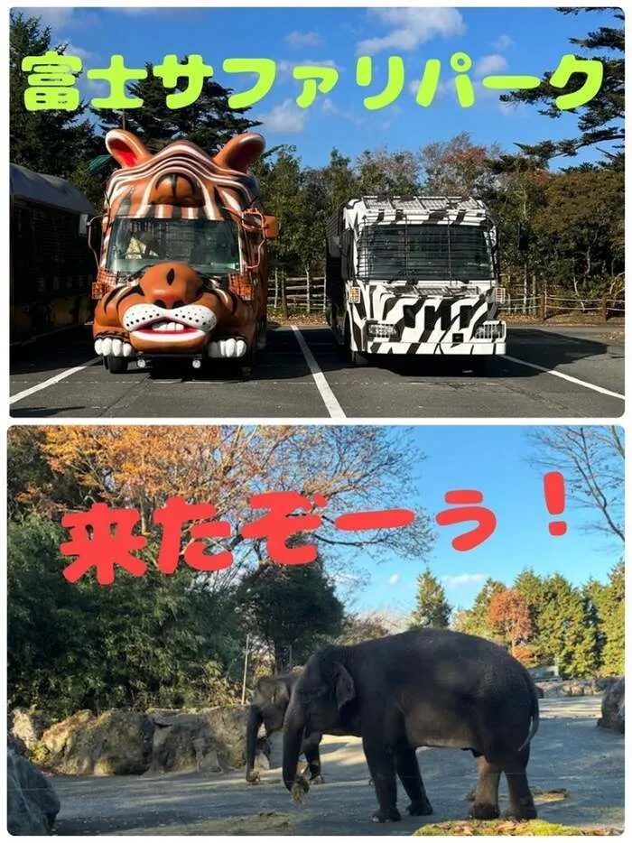 放課後デイサービスtoiro　秦野/☆サファリパーク☆