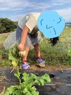 放課後デイサービスtoiro　伊勢原/お野菜収穫☆