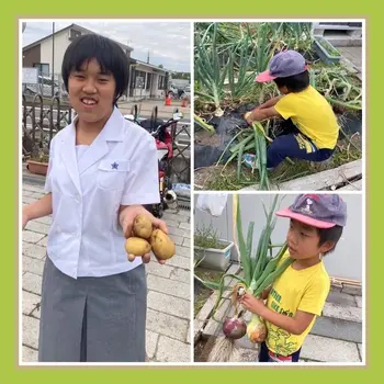 放課後等デイサービスひまわり/５月２５日（木）　玉ねぎとじゃが芋を収穫したよ～🥔