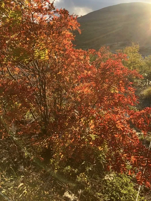 わくわく子供ひろば郡山/秋のよそおい🍁