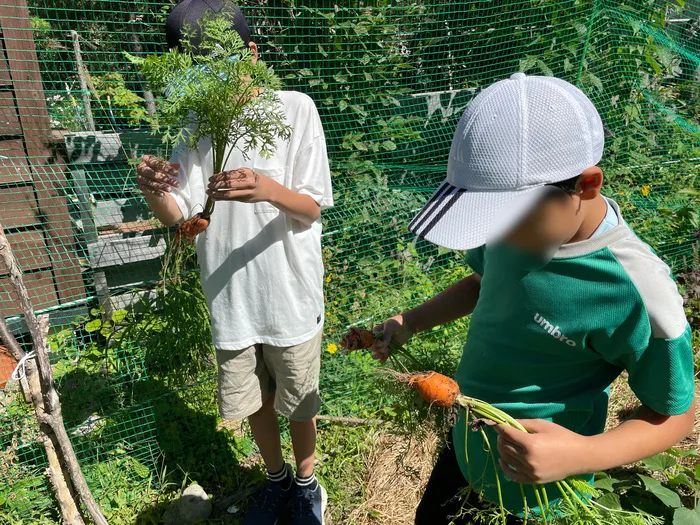 もりぴた/もりぴたの畑の恵み🥕