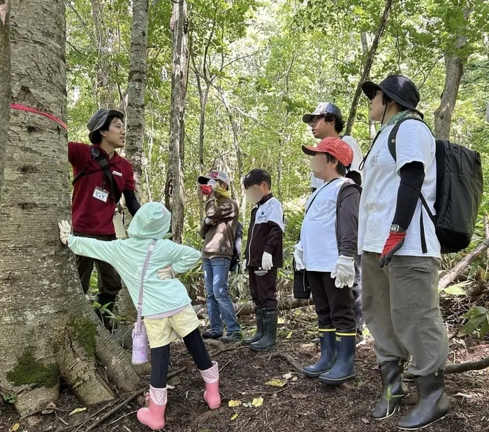 もりぴた/森の観察会🌳