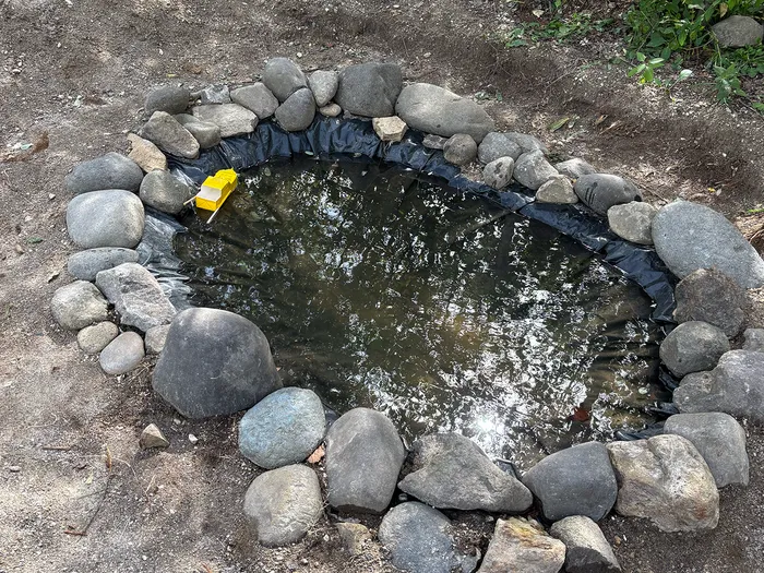 児童発達支援・放課後等デイサービス もりぴた/池づくりで育む「やり抜く力」