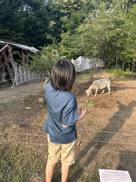 もりぴた/羊と過ごす日々🐑 ④