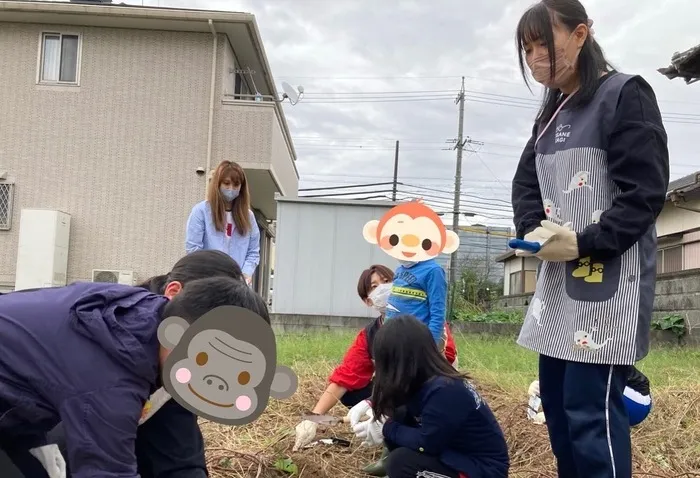 こぱんはうすさくら名古屋緑教室/さつまいも掘り🍠