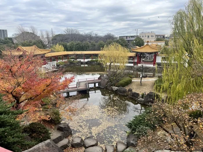 こぱんはうすさくら東神奈川教室/大師公園へ行きました😊